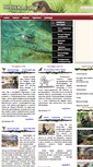 Mobile Screenshot of dinoera.com